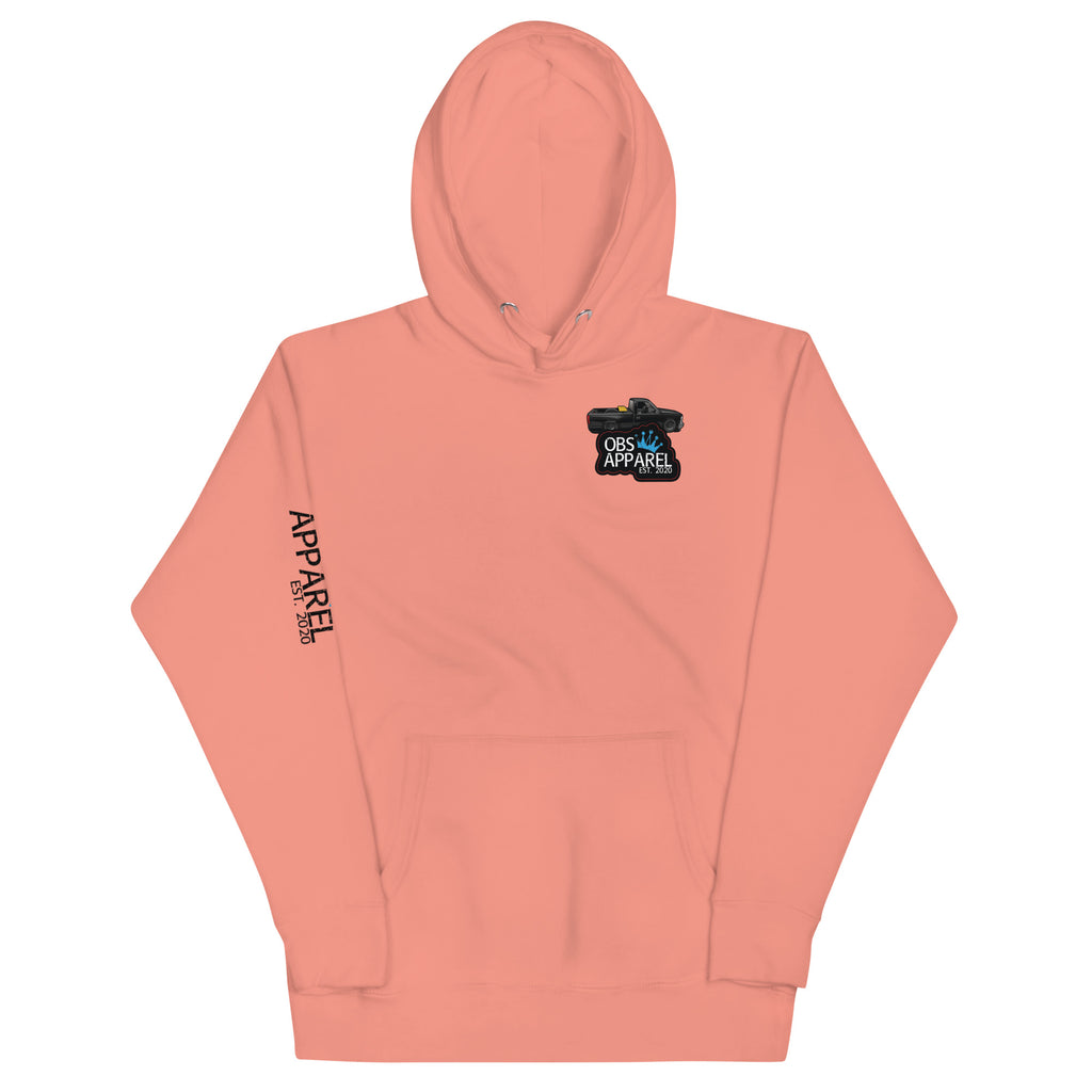 Unisex hidden gem Hoodie